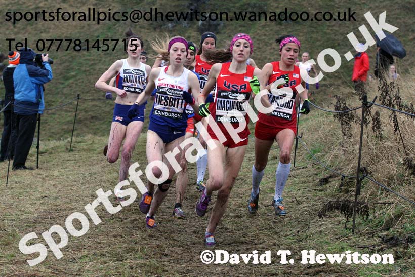 Senior womens Great Edinburgh Cross Country. Photo: David T. Hewitson/Sports for All Pics